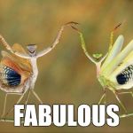 Fabulous | FABULOUS | image tagged in fabulous,funny,memes,animals,praying mantis,national geographic | made w/ Imgflip meme maker