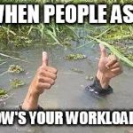 underWater | WHEN PEOPLE ASK HOW'S YOUR WORKLOAD ? | image tagged in underwater | made w/ Imgflip meme maker