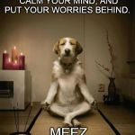 Meditation | MEDITATE, DON'T HESITATE. CALM YOUR MIND, AND PUT YOUR WORRIES BEHIND. MEEZ | image tagged in meditation | made w/ Imgflip meme maker
