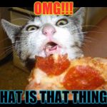 WHAT IS THAT | OMG!!! WHAT IS THAT THING!!! | image tagged in what is that | made w/ Imgflip meme maker