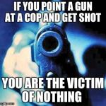 gun in face | IF YOU POINT A GUN AT A COP AND GET SHOT; YOU ARE THE VICTIM OF NOTHING | image tagged in gun in face | made w/ Imgflip meme maker