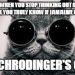 Schrodinger's Cat | ONLY WHEN YOU STOP THINKING OUT OF THE BOX WILL YOU TRULY KNOW IF I AM ALIVE OR DEAD. ~SCHRODINGER'S CAT | image tagged in schrodinger's cat | made w/ Imgflip meme maker