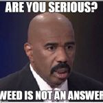 Steve Harvey | ARE YOU SERIOUS? WEED IS NOT AN ANSWER | image tagged in steve harvey | made w/ Imgflip meme maker