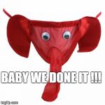 Red panties | BABY WE DONE IT !!! | image tagged in red panties | made w/ Imgflip meme maker