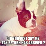 Follow zagobull on instagram | DID YOU JUST SAY MY TAX RETURN HAS ARRIVED ? | image tagged in follow zagobull on instagram | made w/ Imgflip meme maker