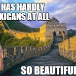 Donald Great Wall of China | CHINA HAS HARDLY ANY MEXICANS AT ALL; SO BEAUTIFUL | image tagged in donald great wall of china,wall,china | made w/ Imgflip meme maker