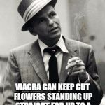 Freaky Facts Frank | DID YOU KNOW; VIAGRA CAN KEEP CUT FLOWERS STANDING UP STRAIGHT FOR UP TO A WEEK LONGER THAN NORMAL | image tagged in freaky facts frank | made w/ Imgflip meme maker