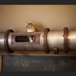 Cat Tube