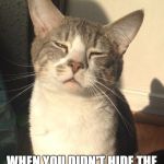 Stoner cat | THAT FACE YOUR CAT MAKES; WHEN YOU DIDN'T HIDE THE CATNIP IN THE RIGHT PLACE | image tagged in stoner cat | made w/ Imgflip meme maker