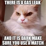 light a match  | THERE IS A GAS LEAK; AND IT IS DARK MAKE SURE YOU USE A MATCH | image tagged in grumpier cat | made w/ Imgflip meme maker