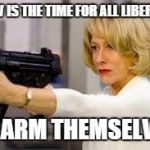 Helen Mirren Guns for Warren Rodwell | NOW IS THE TIME FOR ALL LIBERALS; TO ARM THEMSELVES | image tagged in helen mirren guns for warren rodwell | made w/ Imgflip meme maker