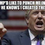 i'd like to punch him in the face | TRUMP'D LIKE TO PUNCH ME IN THE FACE IF HE KNOWS I CREATED THIS MEME | image tagged in i'd like to punch him in the face | made w/ Imgflip meme maker