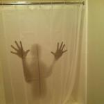 shower curtain