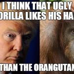 Donald Trump V.S. Orangutan | I THINK THAT UGLY GORILLA LIKES HIS HAIR; MORE THAN THE ORANGUTAN DOES | image tagged in donald monkey,donald trumph hair,donald trump | made w/ Imgflip meme maker