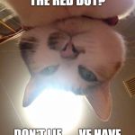 Cats are figuring out who's operating the laser pointer... | DO YOU CONTROL THE RED DOT? DON'T LIE . . . VE HAVE VAYS TO MAKE YOU TALK | image tagged in catsnap1,red dot,cat,laser,operator | made w/ Imgflip meme maker