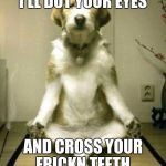No cats | I'LL DOT YOUR EYES; AND CROSS YOUR FRICKN TEETH | image tagged in no cats | made w/ Imgflip meme maker