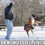 levitatiion spell cast | AND FOR MY NEXT SPELL, LEVITATION! | image tagged in levitatiion spell cast | made w/ Imgflip meme maker