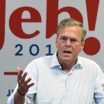 Jeb Bush WTF