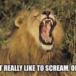 Roar | I JUST REALLY LIKE TO SCREAM, OK?!?! | image tagged in roar | made w/ Imgflip meme maker