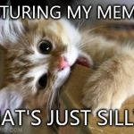 That's just silly cat | FEATURING MY MEMES? THAT'S JUST SILLY... | image tagged in that's just silly cat | made w/ Imgflip meme maker