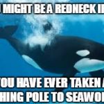 Shamu | YOU MIGHT BE A REDNECK IF........ YOU HAVE EVER TAKEN A FISHING POLE TO SEAWORLD. | image tagged in shamu | made w/ Imgflip meme maker