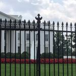White House fence meme