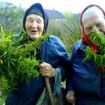 Russian women weed