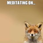 Fox Meditating | MEDITATING ON... | image tagged in fox meditating | made w/ Imgflip meme maker
