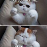 Reading invisible fairy tale book | Let's see; once upon a time... ZZzzzz | image tagged in i need hugs cat,memes,funny cats,cats | made w/ Imgflip meme maker