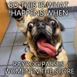 The women anyway... | SO THIS IS WHAT HAPPENS WHEN; RAYDOG PASSES WOMEN IN THE STORE | image tagged in crazy dog | made w/ Imgflip meme maker