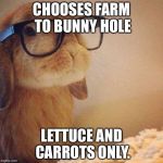 Hipster Bunny | CHOOSES FARM TO BUNNY HOLE; LETTUCE AND CARROTS ONLY. | image tagged in hipster bunny | made w/ Imgflip meme maker