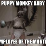 Puppy monkey baby  | PUPPY MONKEY BABY EMPLOYEE OF THE MONTH | image tagged in puppy monkey baby | made w/ Imgflip meme maker