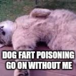 Dead cat | DOG FART POISONING GO ON WITHOUT ME | image tagged in dead cat | made w/ Imgflip meme maker