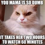 discounted grumpy cat  | YOU MAMA IS SO DUMB; IT TAKES HER TWO HOURS TO WATCH 60 MINUTES | image tagged in discounted grumpy cat | made w/ Imgflip meme maker