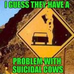 Does your insurance cover falling cow disease? | I GUESS THEY HAVE A; PROBLEM WITH SUICIDAL COWS | image tagged in falling cows,funny signs,funny,memes,funny animals,road signs | made w/ Imgflip meme maker