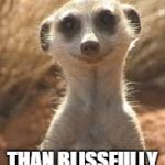 Meerkat | RATHER BE EUPHORICALLY KNOWLEDGEABLE; THAN BLISSFULLY IGNORANT | image tagged in meerkat | made w/ Imgflip meme maker