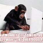 Monkey computer | CAN A MONKEY GET SOME UPVOTES PLEASE I WANT LIKE OVER 9000 PLEASE | image tagged in monkey computer | made w/ Imgflip meme maker