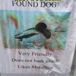 Heavy Metal Duck Dog | BEST DOG EVER! | image tagged in funny,signs/billboards,memes,heavy metal,dog,duck | made w/ Imgflip meme maker