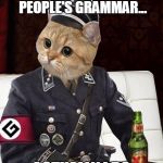 Most Interesting Cat | I DON'T ALWAYS CORRECT PEOPLE'S GRAMMAR... ACTUALLY I DO | image tagged in most interesting grammar cat,memes,grammar nazi,the most interesting man in the world | made w/ Imgflip meme maker
