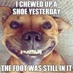 Smiling dog | I CHEWED UP A SHOE YESTERDAY, THE FOOT WAS STILL IN IT | image tagged in smiling dog | made w/ Imgflip meme maker