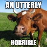 Sad Cow | I AM HAVING AN UTTERLY; HORRIBLE MOO-RNING | image tagged in sad cow | made w/ Imgflip meme maker