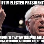 Bernie Sanders | IF I'M ELECTED PRESIDENT; I PROMISE THAT NO TREE WILL FALL IN THE FOREST WITHOUT SOMEONE THERE TO HEAR IT | image tagged in bernie sanders | made w/ Imgflip meme maker