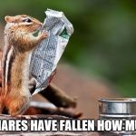 I know it's a wrapper of some sort, but it kind of looks like a paper. | MY SHARES HAVE FALLEN HOW MUCH?! | image tagged in squirrel reading paper,memes | made w/ Imgflip meme maker