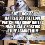 Bad Pun Dog Long Extra Panel | I'M NOT VOTING  FOR TRUMP; BUT I LOOK SO HAPPY BECAUSE I LOVE WATCHING TRUMP HATERS FRANTICALLY POSTING STUFF AGAINST HIM; YOU GUYS ARE HILARIOUS! | image tagged in bad pun dog long extra panel | made w/ Imgflip meme maker