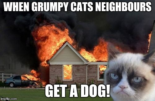 Grumpy cats neighbours | WHEN GRUMPY CATS NEIGHBOURS; GET A DOG! | image tagged in memes,burn kitty,grumpy cat | made w/ Imgflip meme maker