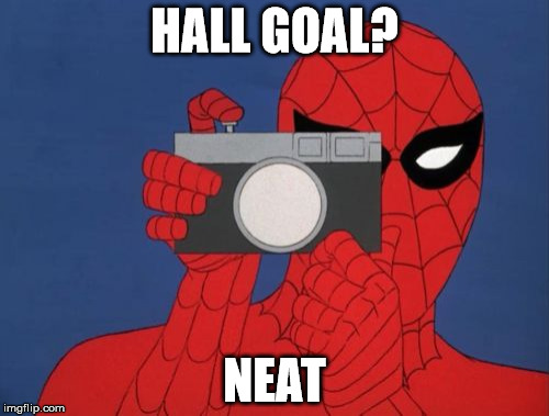 Spiderman Camera Meme | HALL GOAL? NEAT | image tagged in memes,spiderman camera,spiderman | made w/ Imgflip meme maker