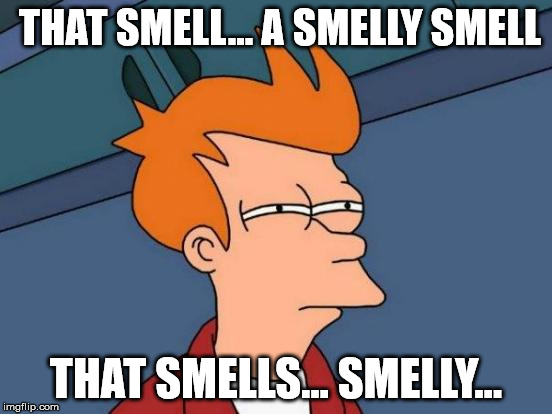 Futurama Fry Meme | THAT SMELL... A SMELLY SMELL THAT SMELLS... SMELLY... | image tagged in memes,futurama fry | made w/ Imgflip meme maker