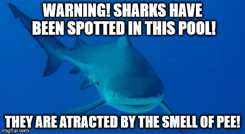 WARNING! SHARKS HAVE BEEN SPOTTED IN THIS POOL! THEY ARE ATRACTED BY THE SMELL OF PEE! | image tagged in sharks | made w/ Imgflip meme maker