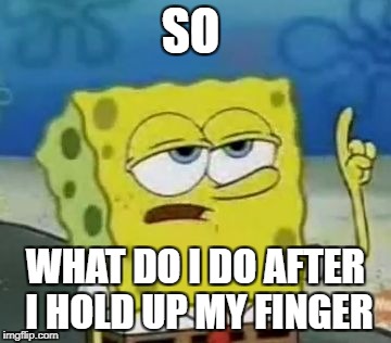 I'll Have You Know Spongebob Meme | SO; WHAT DO I DO AFTER I HOLD UP MY FINGER | image tagged in memes,ill have you know spongebob | made w/ Imgflip meme maker