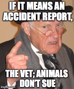 Back In My Day Meme | IF IT MEANS AN ACCIDENT REPORT, THE VET; ANIMALS DON’T SUE | image tagged in memes,back in my day | made w/ Imgflip meme maker